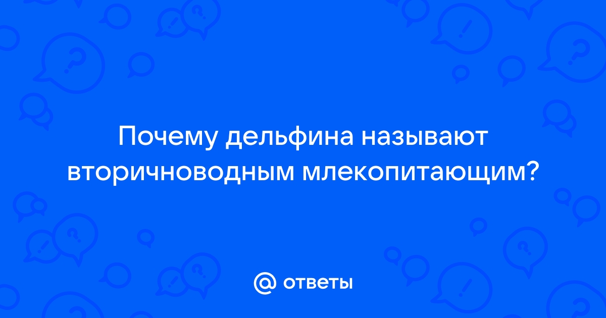 Почему дельфина нападает на меня скайрим