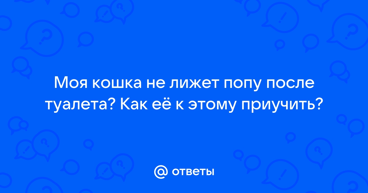 Лижет анус после туалета порно видео. Смотреть лижет анус после туалета онлайн