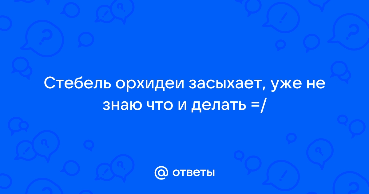 Помогите, пожелтел стебель цветущей орхидеи фаленопсис