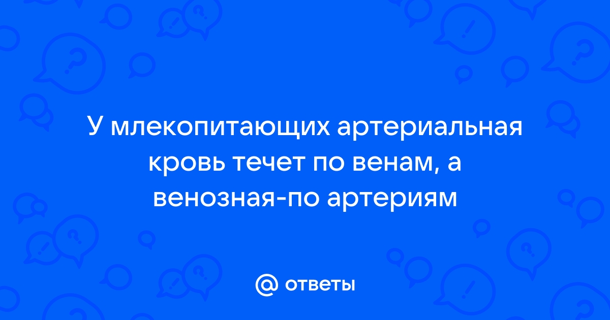 Ответы Mail.ru: У млекопитающих артериальная кровь течет по венам, а венозная-по артериям