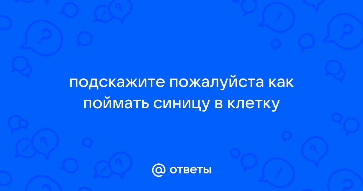 как поймать синицу — 25 рекомендаций на tarlsosch.ru