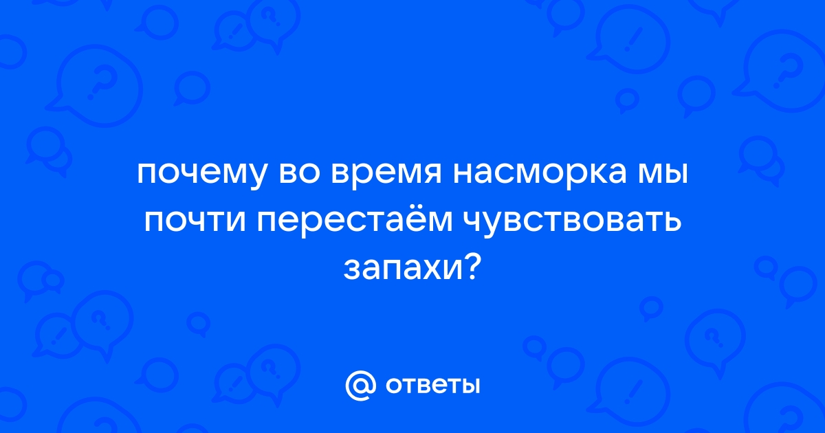 Ответы gaz-akgs.ru: почему во время насморка мы почти перестаём чувствовать запахи?