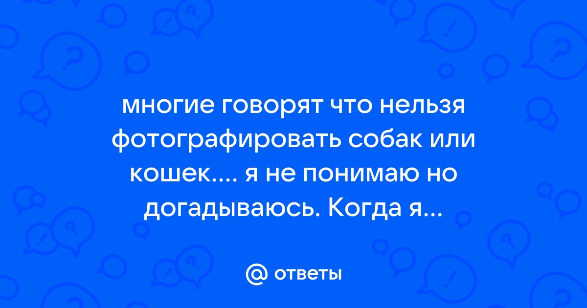 Говорят, домашних животных нельзя фотографировать. Что Вы думаете?