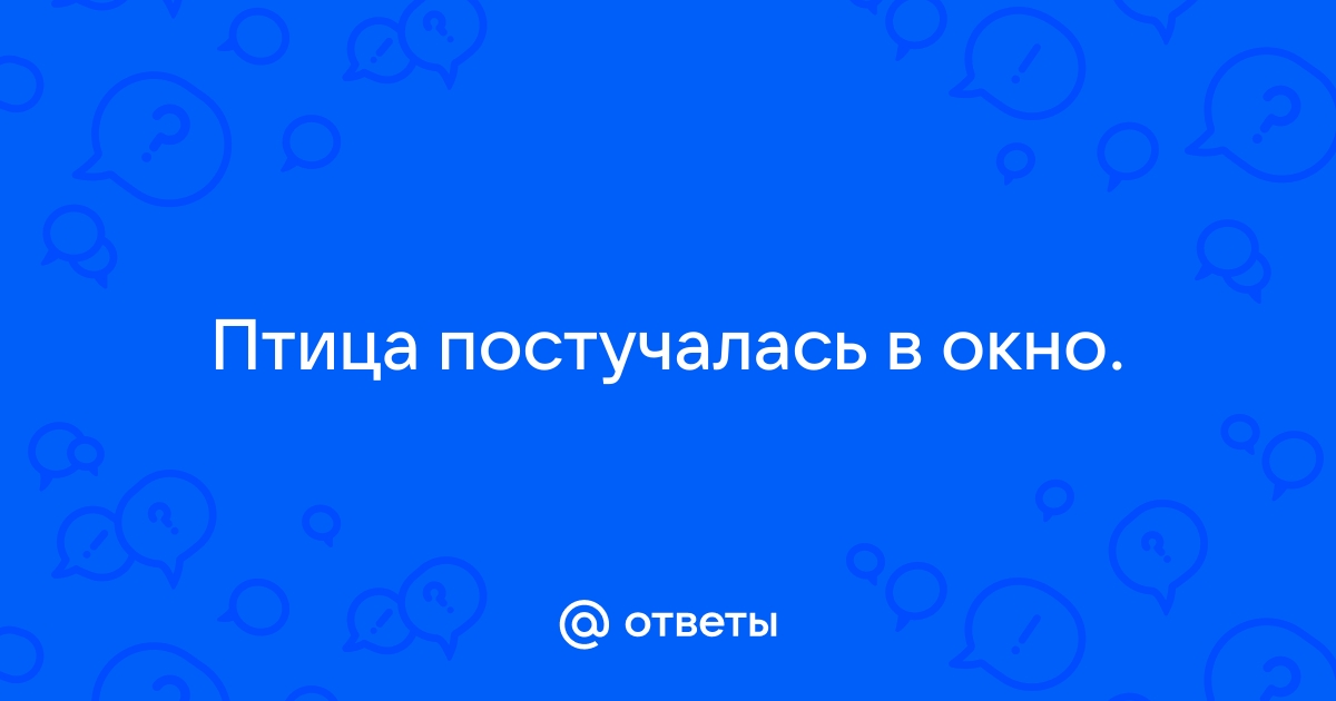 Ответы дачник-4.рф: Птица постучалась в окно.