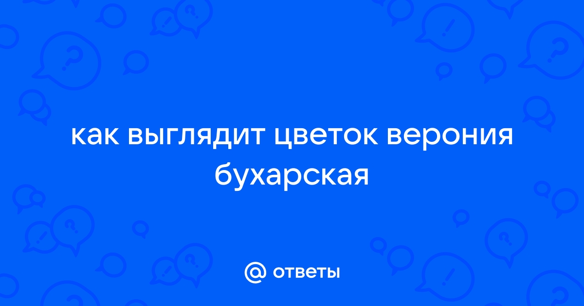 Вероника двулопастная