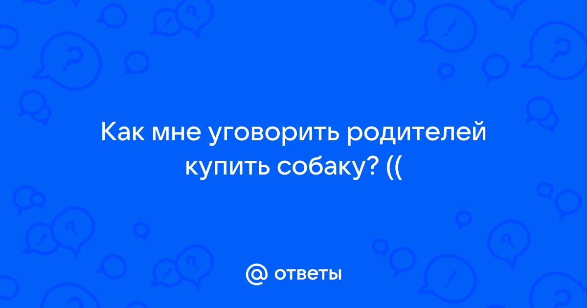 Как уговорить родителей взять с собой ноутбук