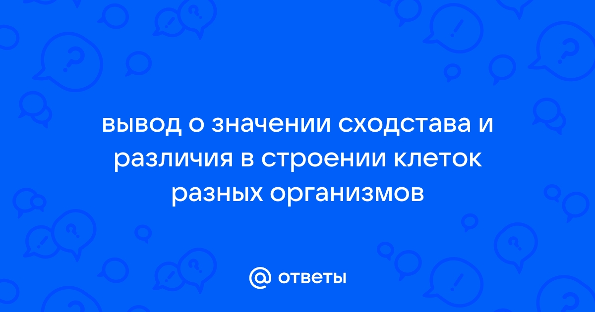 Лабораторная работа №1 «Сравнение строения клеток растений и животных»