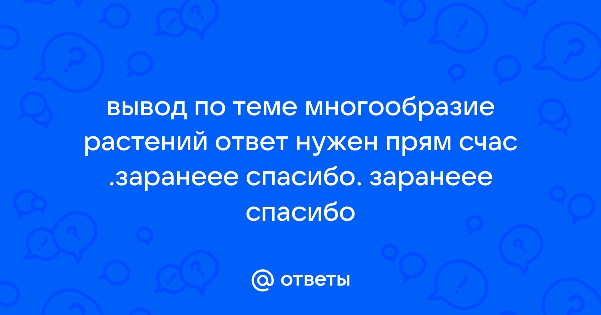 На моем уютном столике танцуют