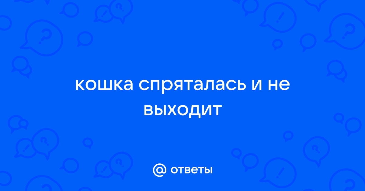 Кошка спряталась под диван и не выходит