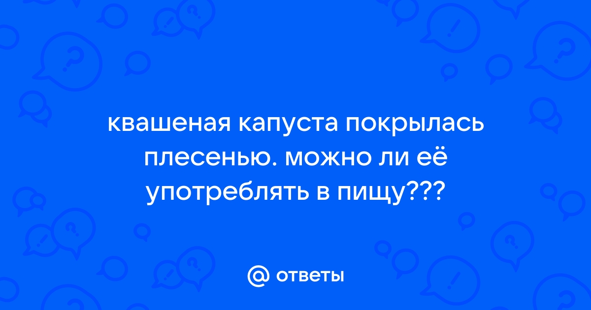 Плесень на квашенной капусте / Поваренок