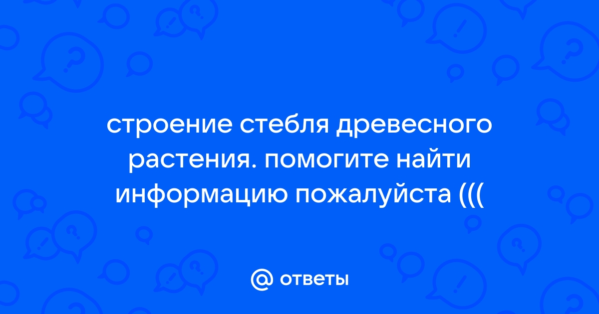 Строение стебля