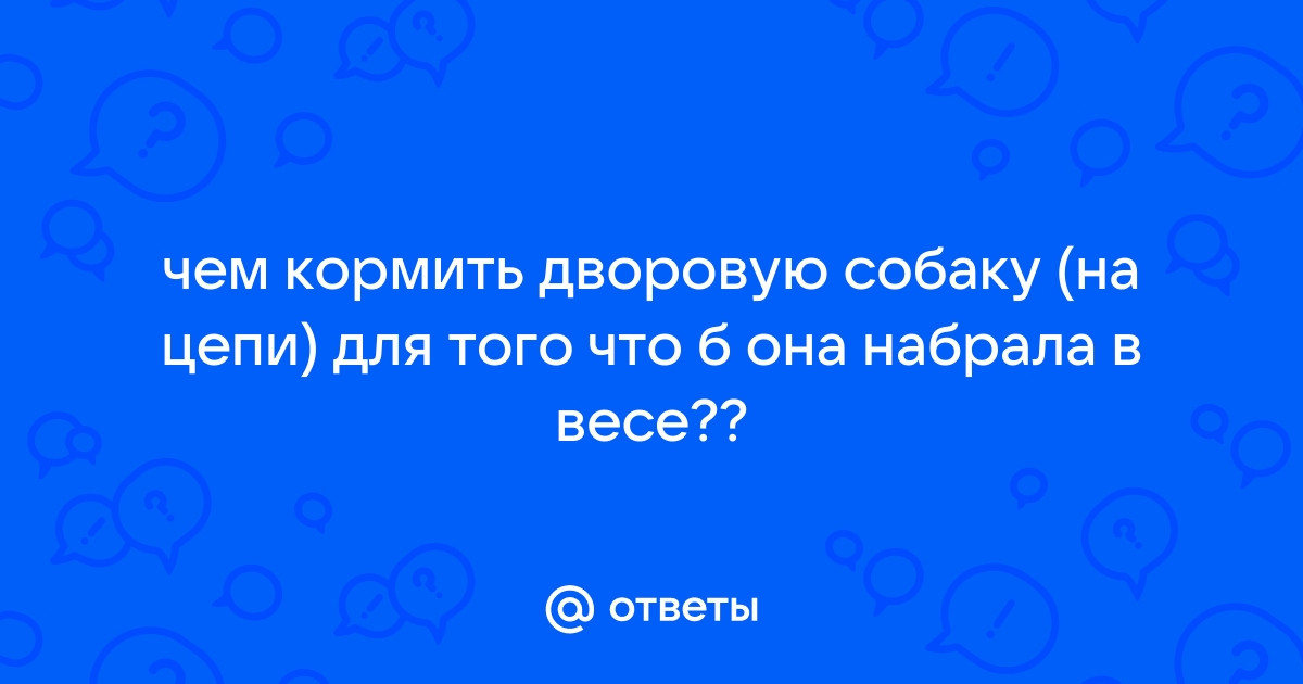 Сколько раз в день кормить собаку взрослую на цепи