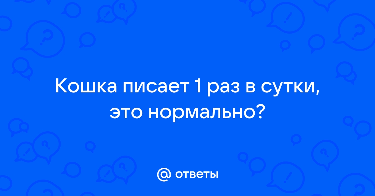 Почему моя кошка писает в лоток, а какает на пол? 8 возможных причин | КотоВедение | Дзен