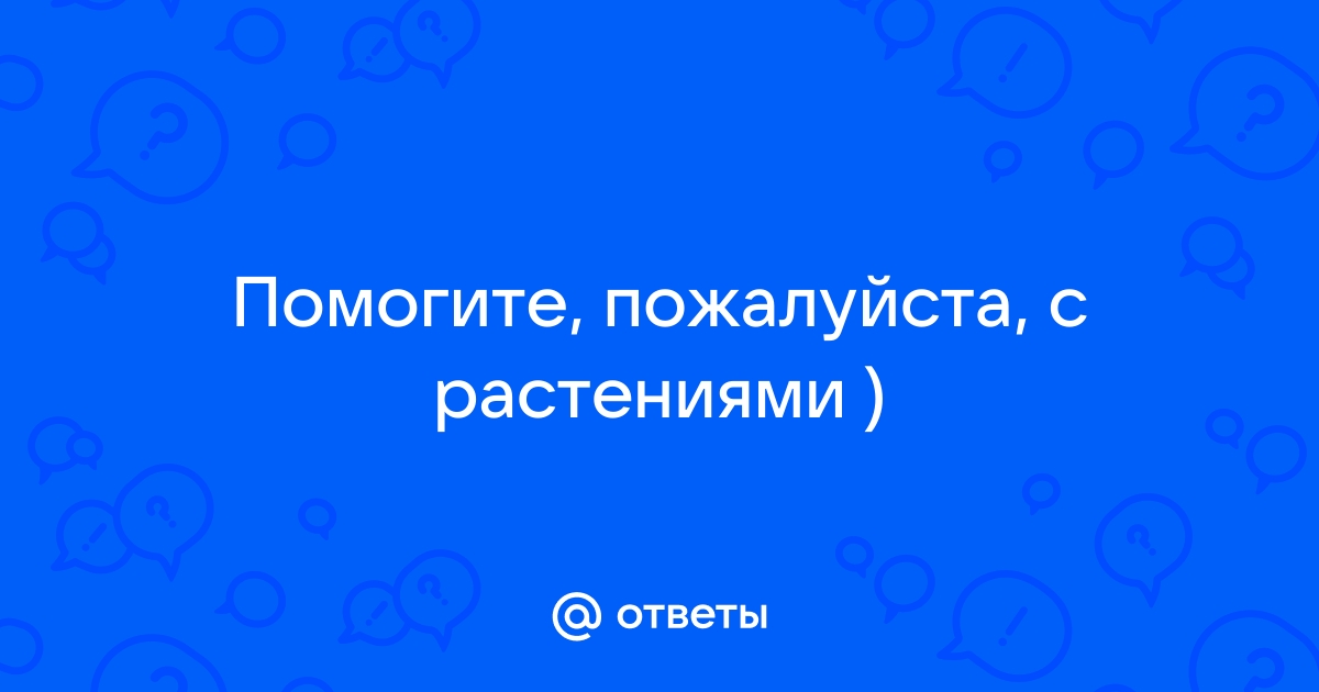 Программа которая распознает растения по фото на русском языке бесплатно на андроид