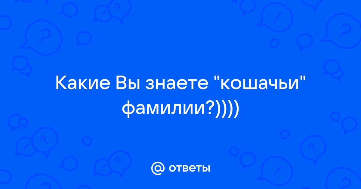 20+ черных котиков, которые ломают стереотипы и приносят в дом лишь смех и радость