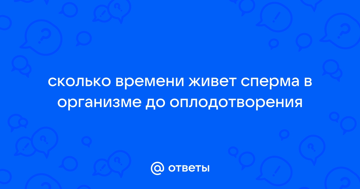 Сколько дней живут сперматозоиды в организме женщины, при какой температуре погибают