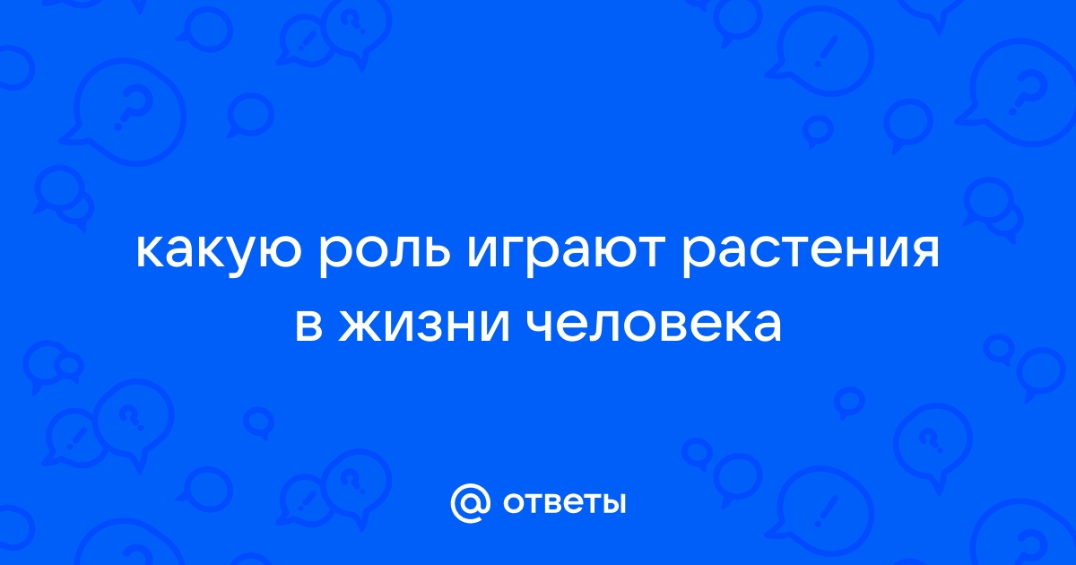 Ответы Mail.ru: какую роль играют растения в жизни человека