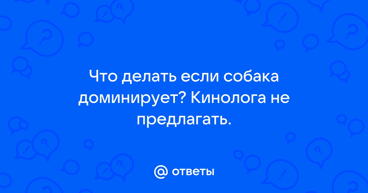 Собака меня насилует, это доминирование?