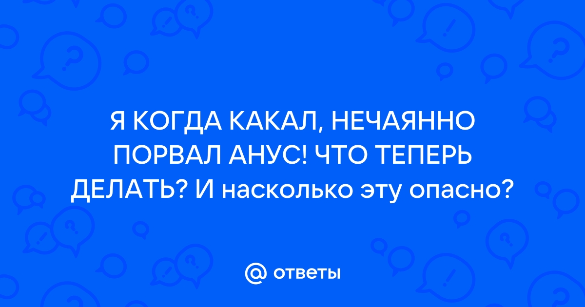 Живодер из Новокузнецка разорвал анус собаки