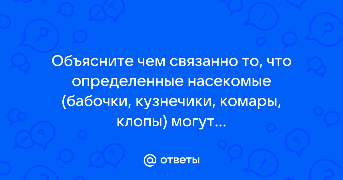 «Насекомые ― только одна из областей»