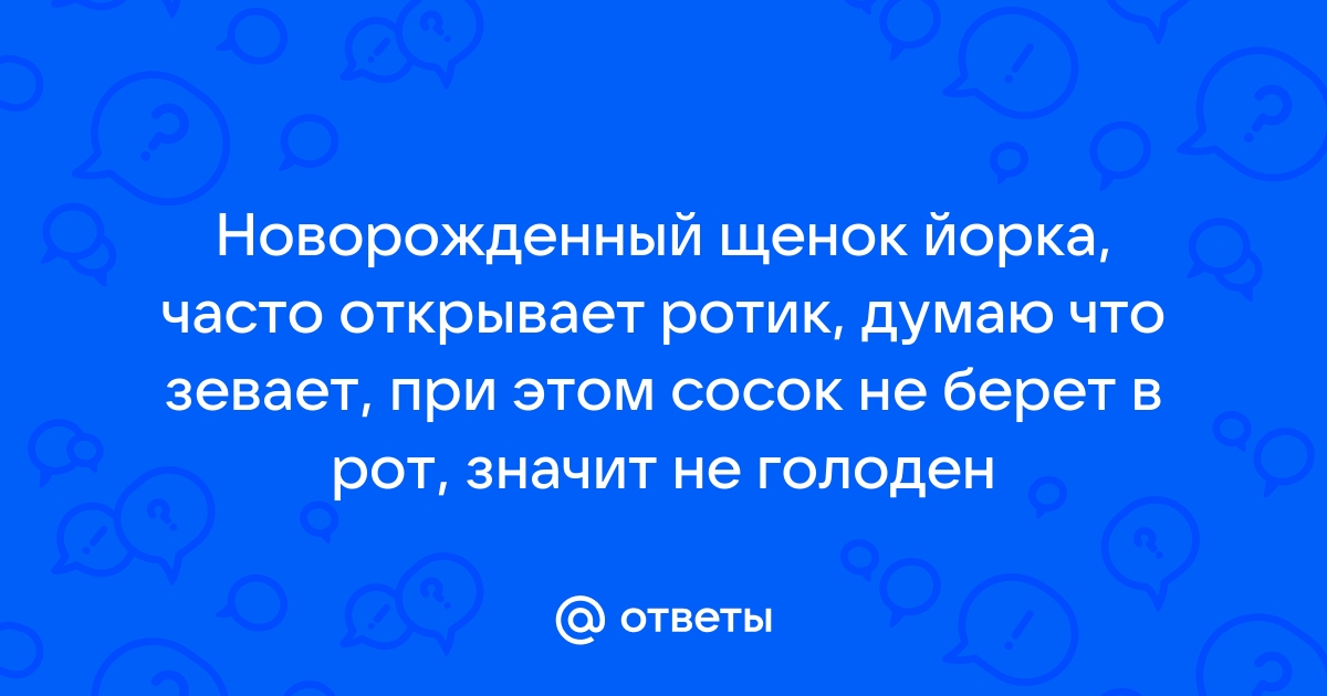 Новорожденный зевает – стоит ли беспокоиться | Мамоведия - о здоровье и развитии ребенка