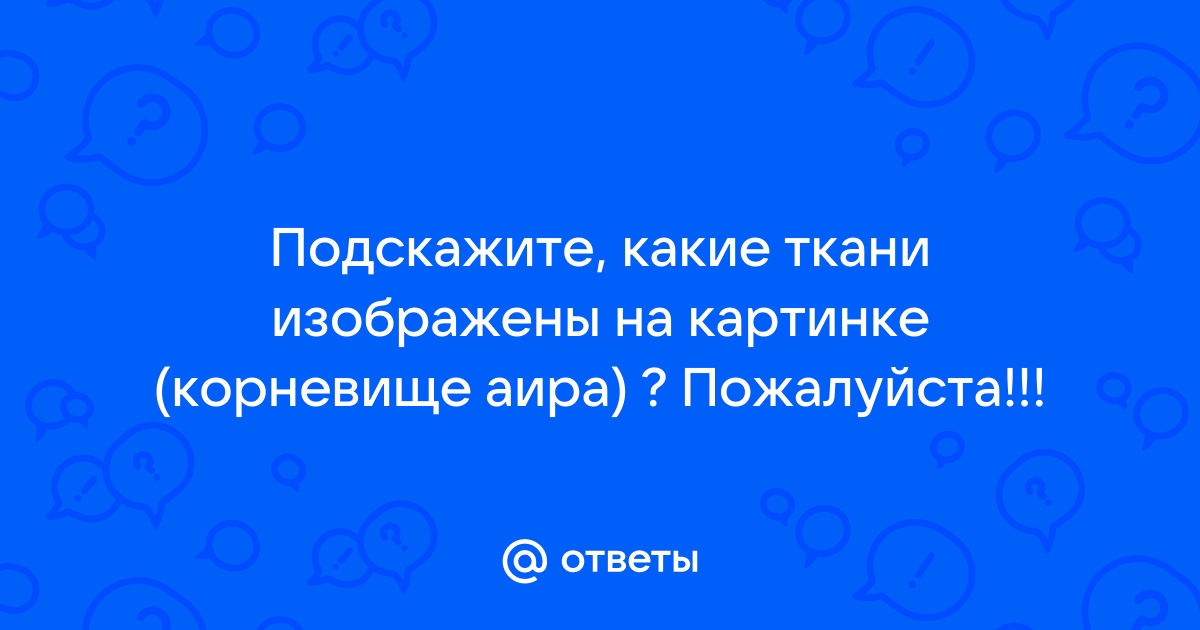 Введите верный ответ какие списки изображены на картинке