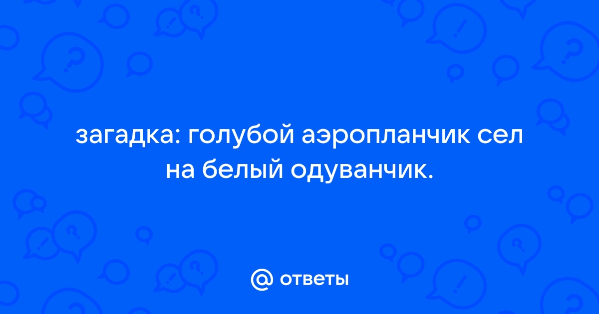 Загадки про насекомых для детей с ответами