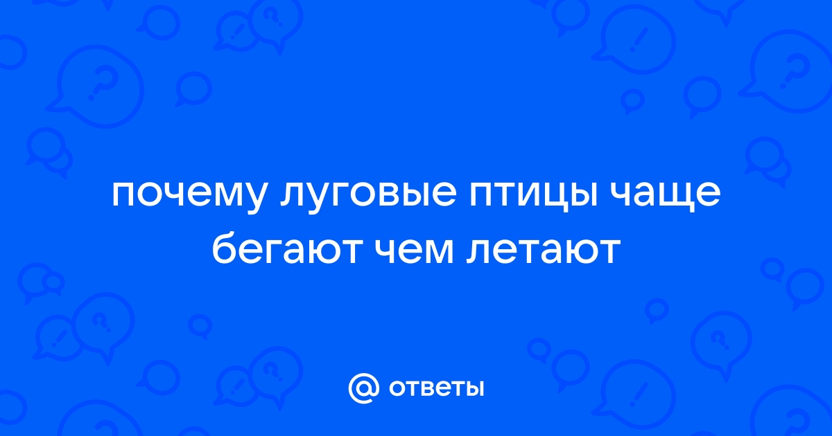 (PDF) ЭКОЛОГИЯ ПТИЦ ЮГО-ЗАПАДА БЕЛАРУСИ. НЕВОРОБЬИНООБРАЗНЫЕ | Ирина Абрамова - trikotagmarket.ru