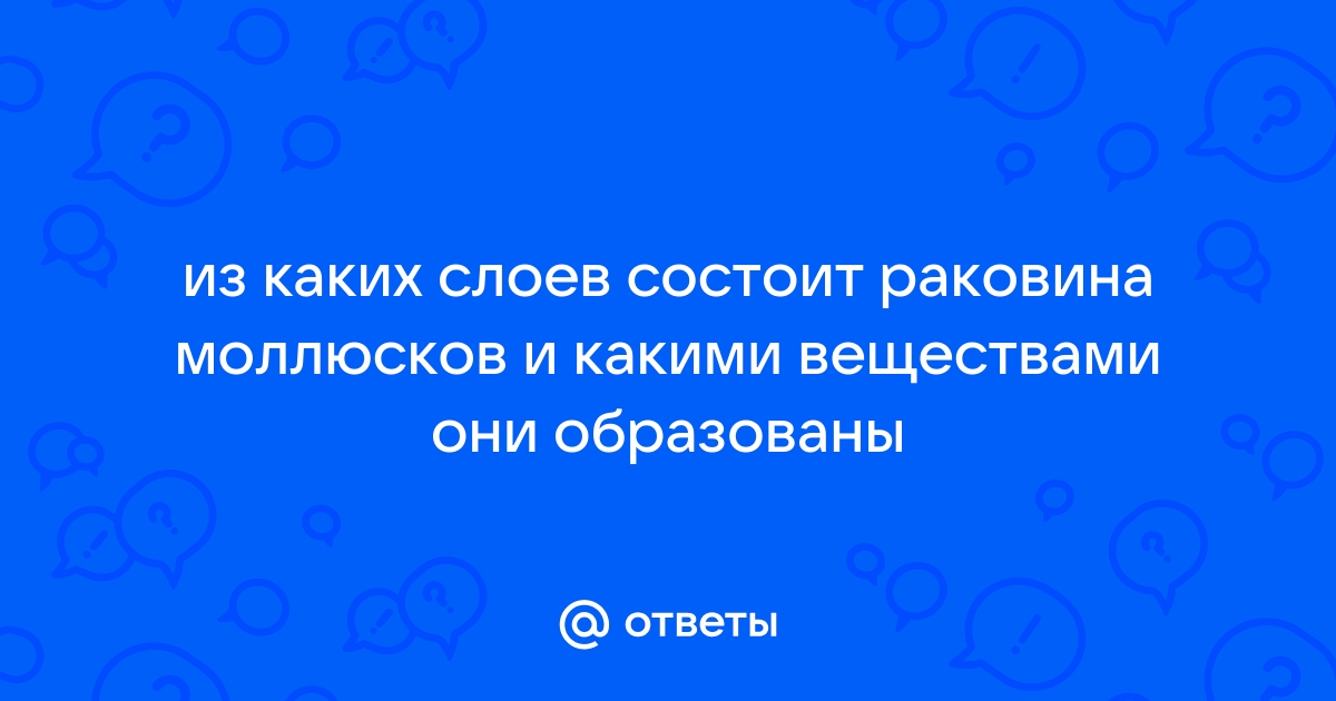 Установите последовательность слоев раковины у двустворчатых моллюсков