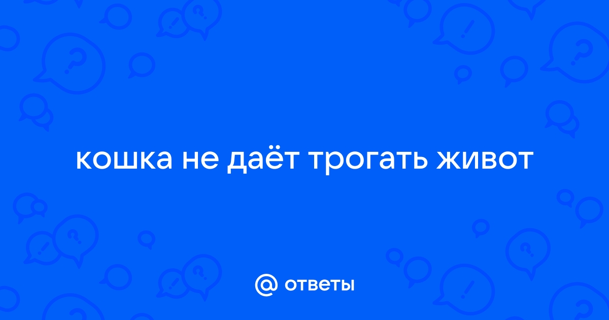 У кошки отказали задние лапы