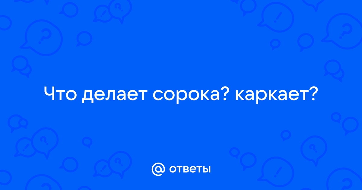 Вся правда о сороках