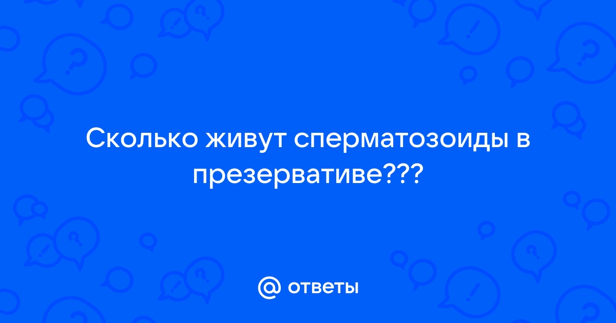 Вы можете ругать меня, Но! Я сделала ЭТО!