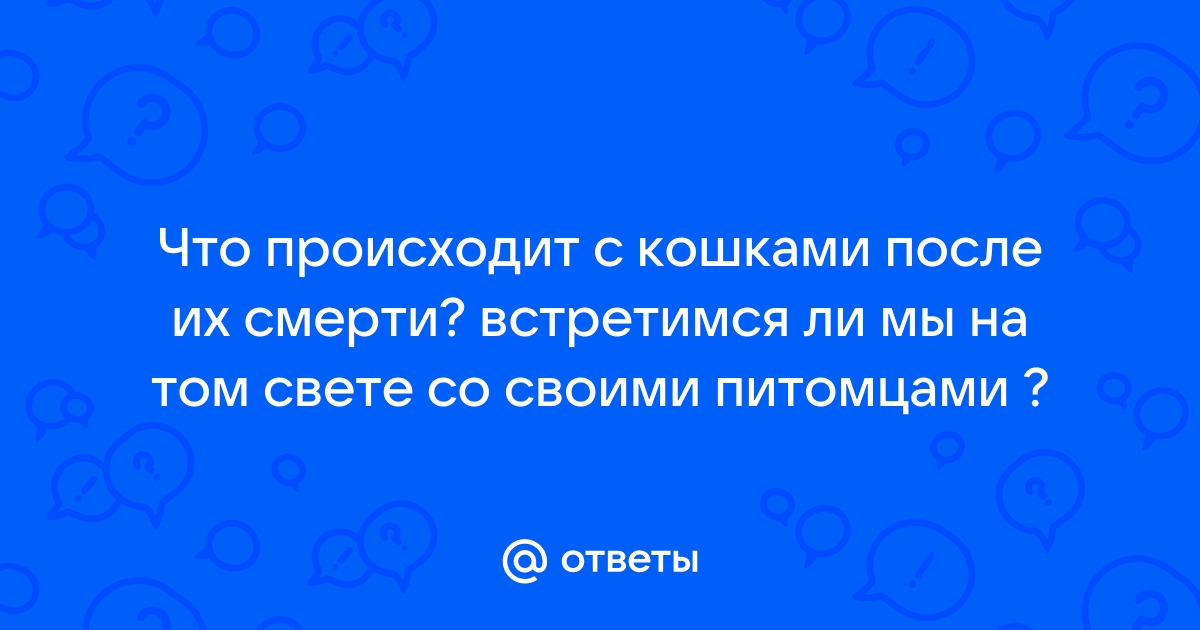 Действительно ли мы встретимся с мамой после смерти?