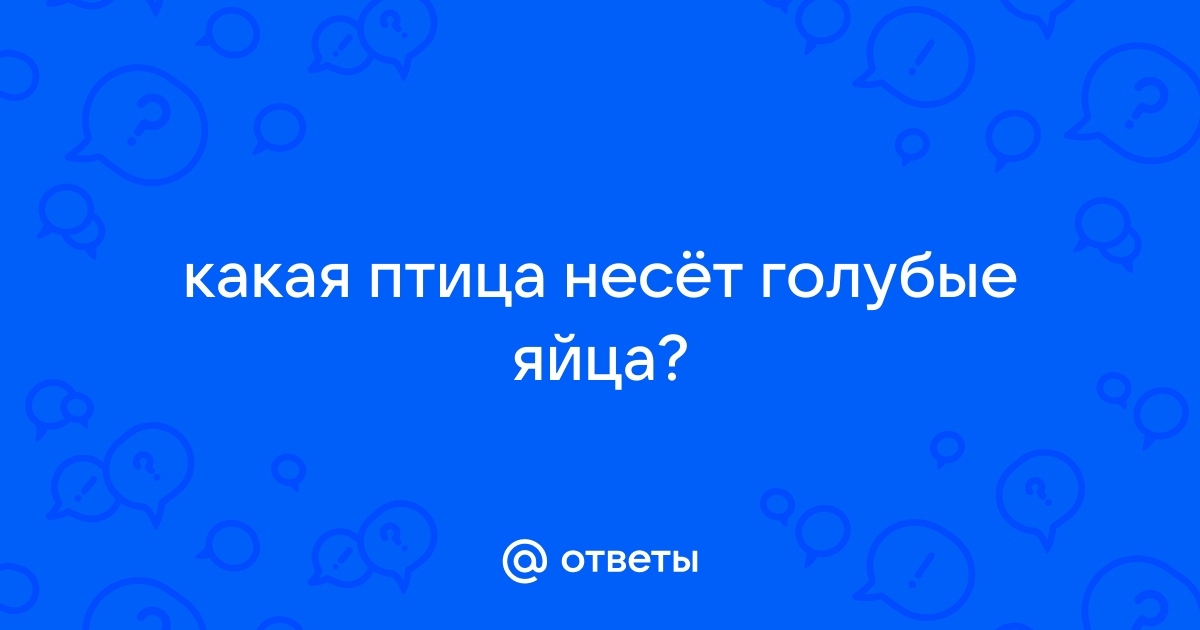 Ответы какая птица несёт голубые яйца