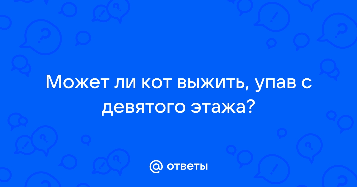 Может ли кот выжить после падения с 9 этажа