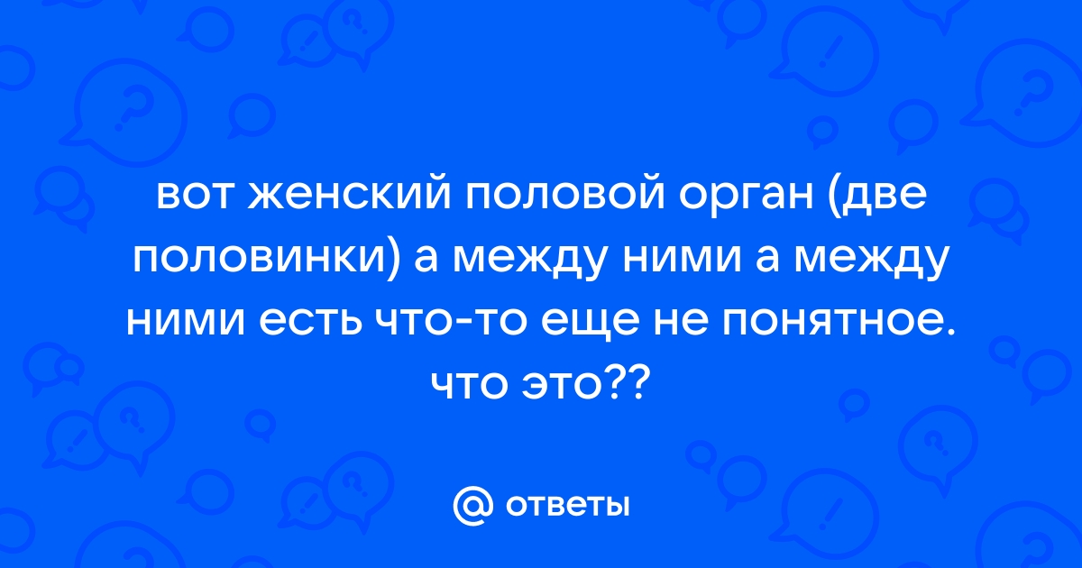 Как устроена мужская репродуктивная система