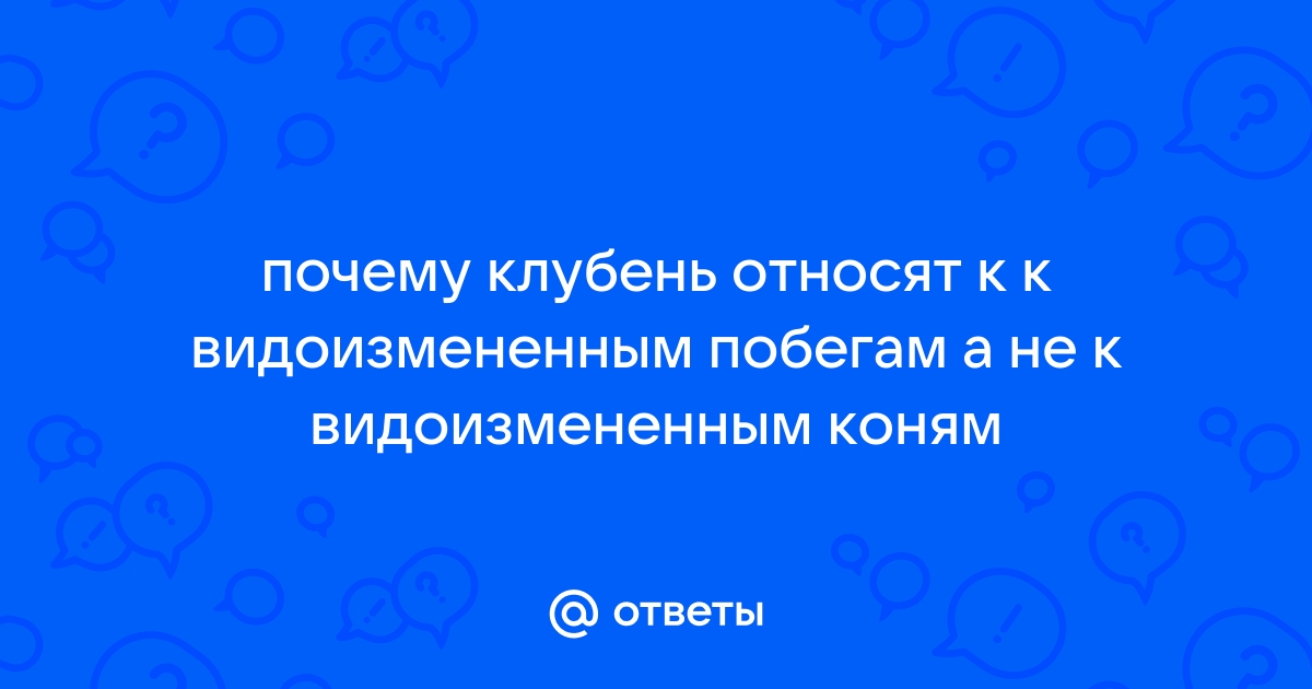 «Почему клубень относят к видоизмененным побегам?» — Яндекс Кью