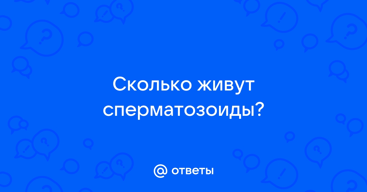 Как долго живут сперматозоиды во рту? | Where I Get My Meds