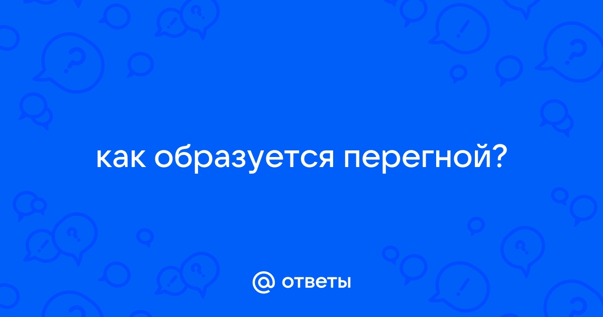 Почему в почве образуется перегной?