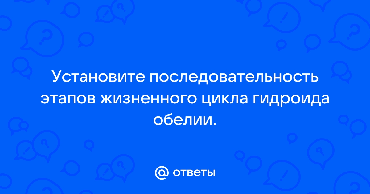 Математикой нужно заниматься не ради ее приложения кто сказал