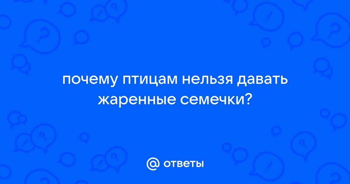 Как помочь птицам в морозы?