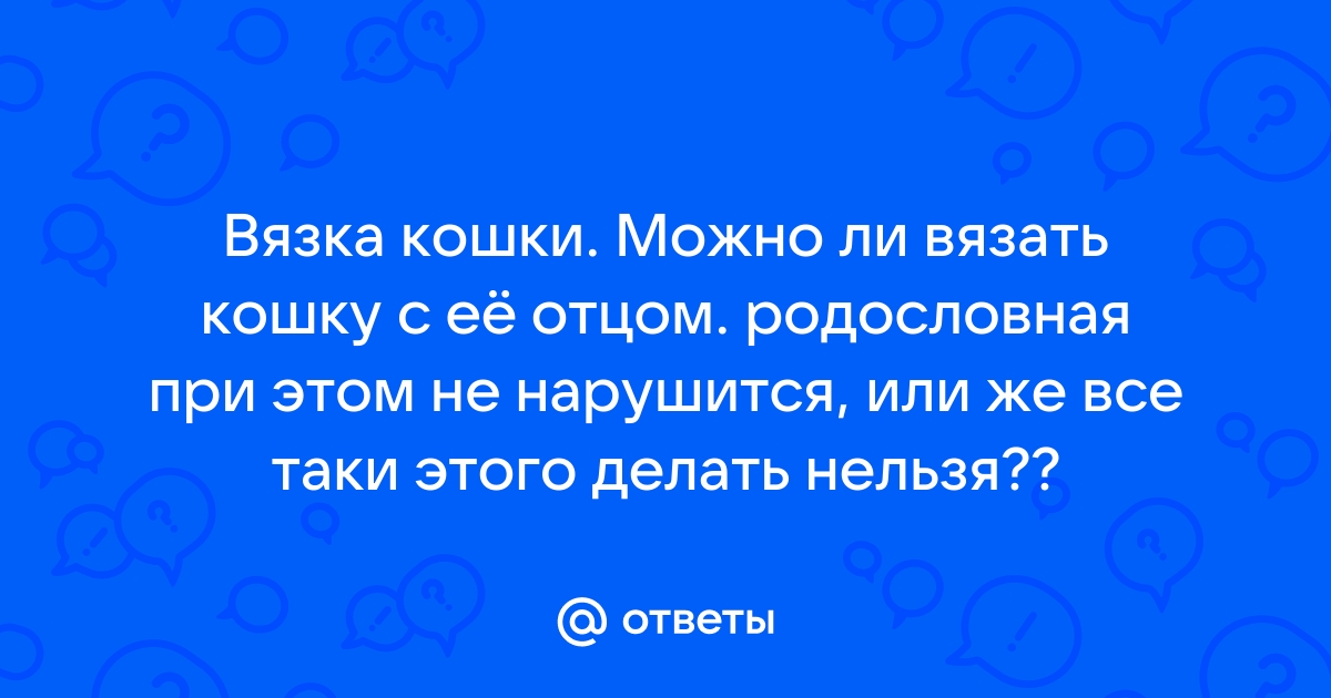 Скоттиш фолд мама и сын — Спрашивалка