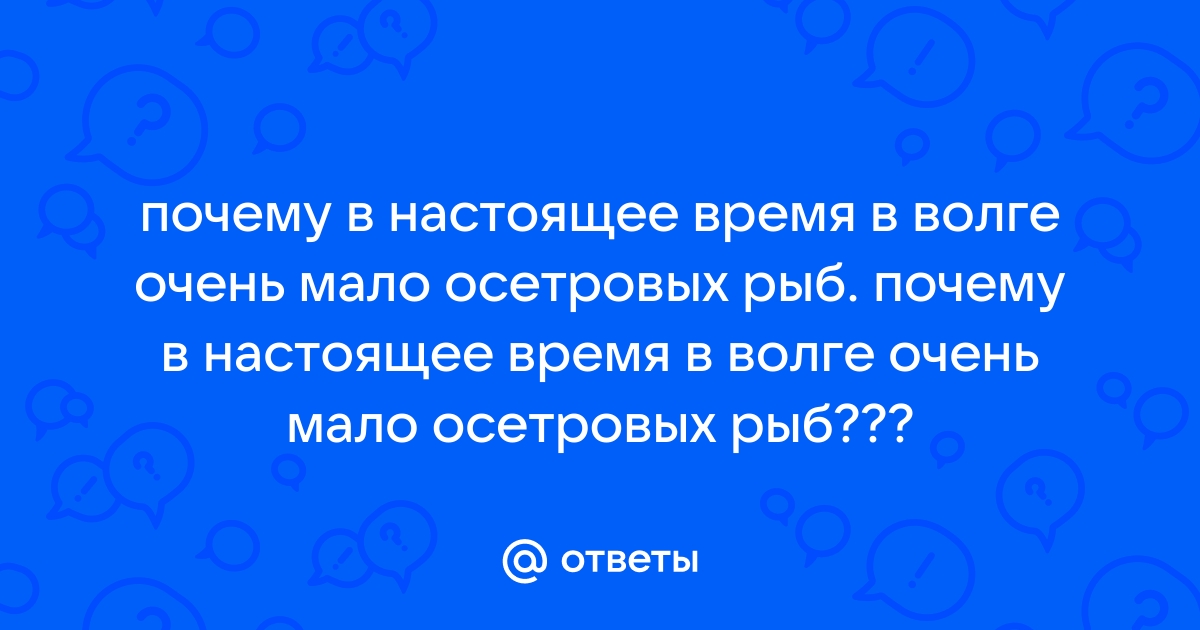 Хватит ли Волги? Реки стало меньше. Насколько опасна ситуация сегодня? — Репортер