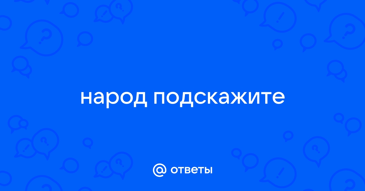 Ответы Mail: Что сделать, чтобы шиншиллы не грызли прутья клетки?