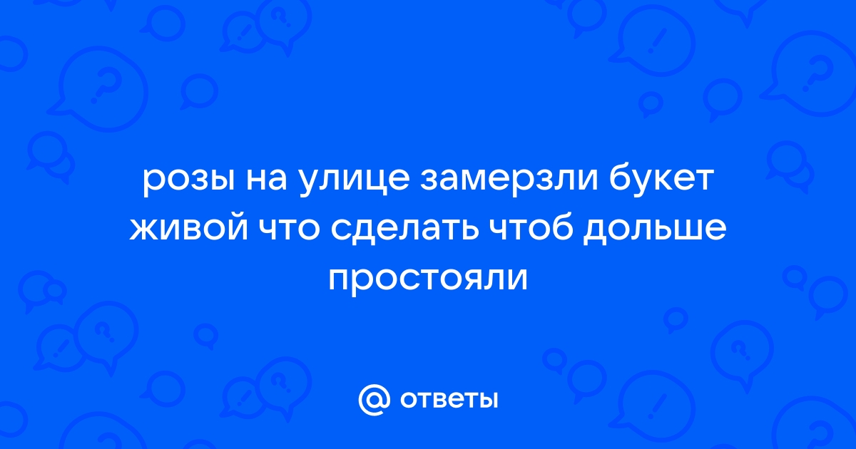 Защита растений от заморозков весной – как сохранить урожай