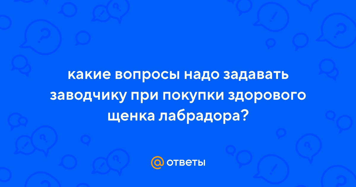 Ответы Mail.ru: какие вопросы надо задавать заводчику при покупки здорового  щенка лабрадора?