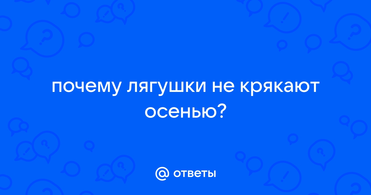 Собаки фыркают — к дождю, а лягушки квакают — к жаре: топ‑7 самых надежных летних примет