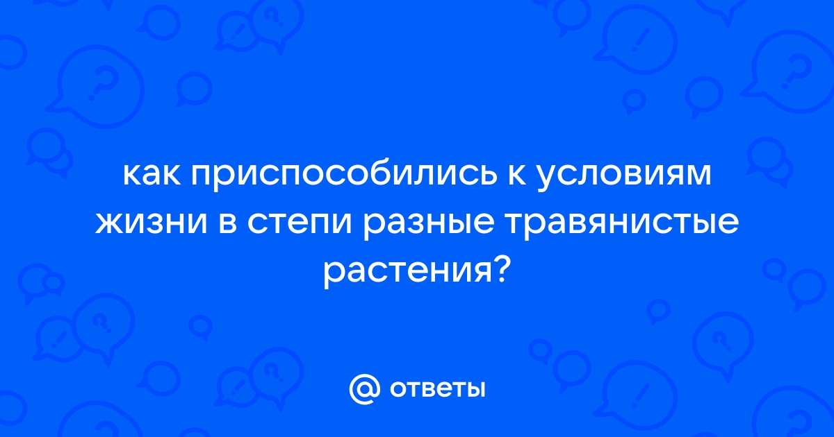 Ответы Mail: Почему у пустынных растений длинные корни?