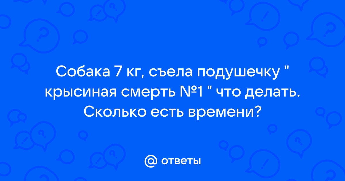 Сосиски с ядом и гвоздями. Чем могут отравить домашнюю собаку на улице