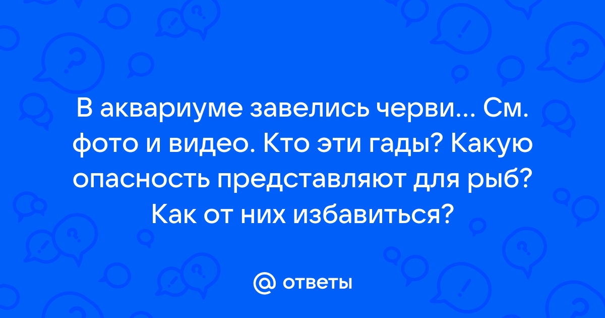 Что за коричневые черви завелись в аквариуме?